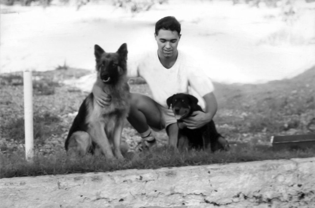 adiestramineto canino en reus Tarragona perros (12)