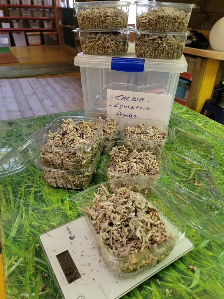 dieta y comidas para perros Reus Tarragona (6) dieta y comidas para perros Reus Tarragona (6)