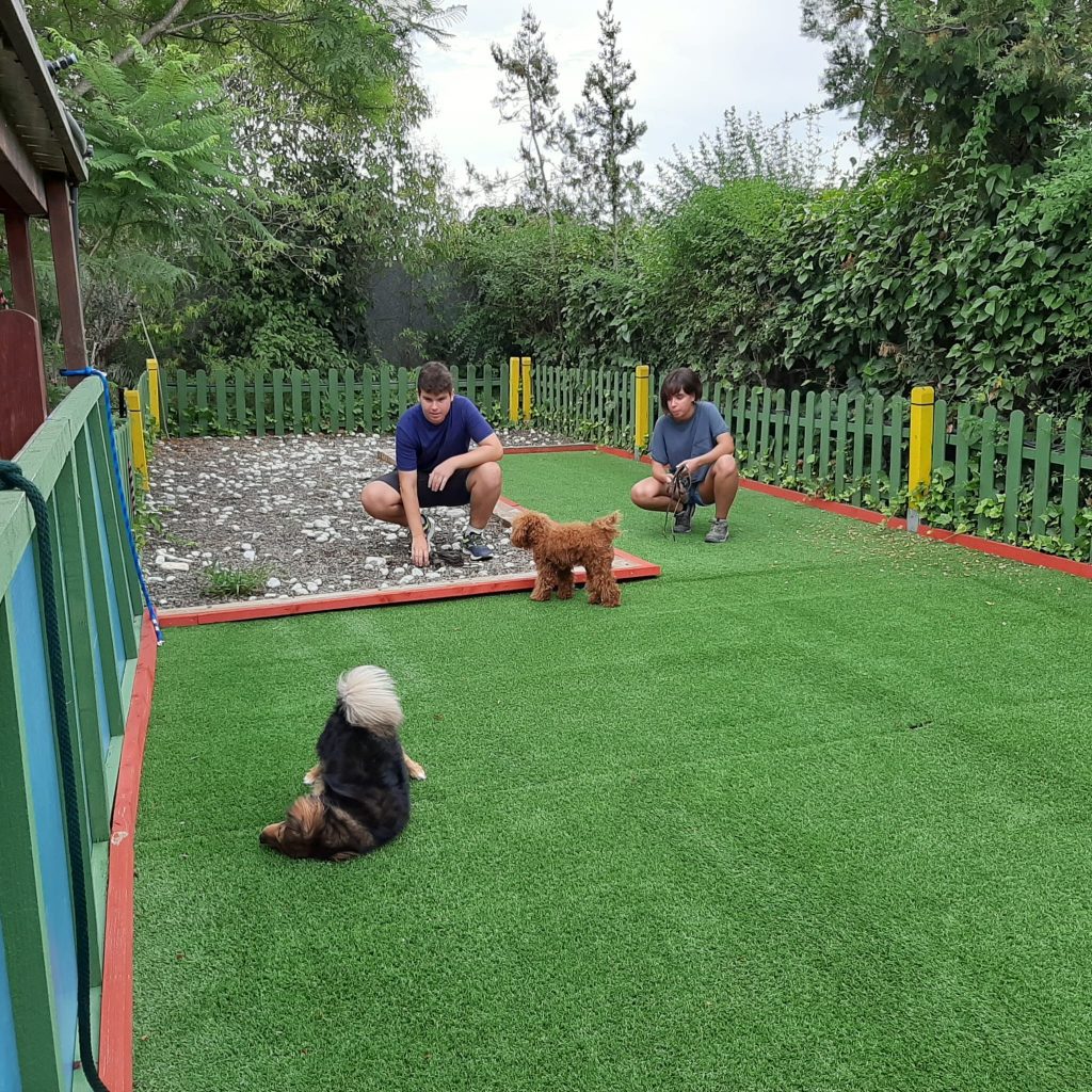 hotel para perros en reus tarragona residencia canina hotel para perros en reus tarragona residencia canina