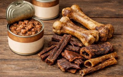 Cómo introducir comida deshidratada y latas en la dieta de tu perro: guía paso a paso