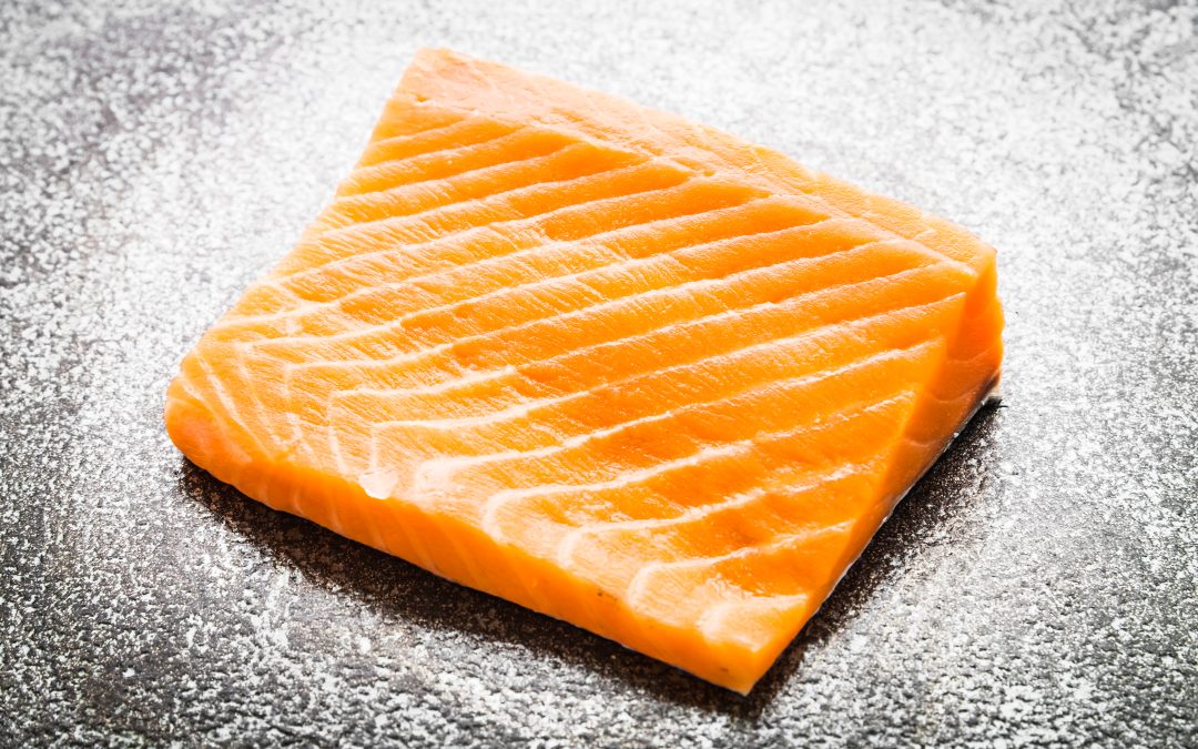 Alimentación ideal para cachorros de Pastor Alemán: claves para un desarrollo sano