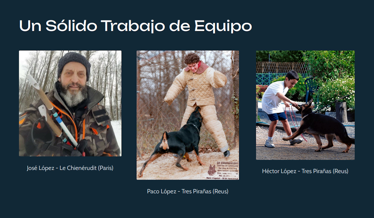 un solido trabajo en equipo tres piranas